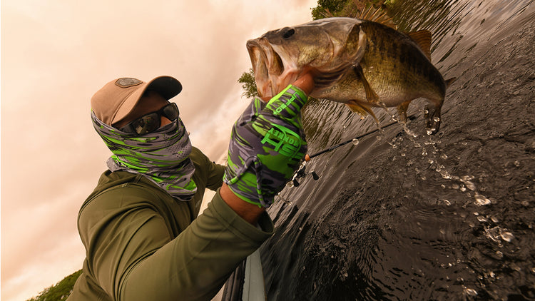 Spring/Summer Fish